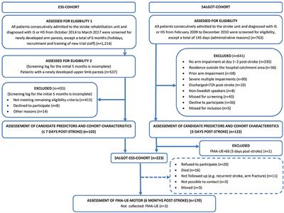 Easily Conducted Tests During the First Week Post-stroke Can Aid the Prediction of Arm Functioning at 6 Months
